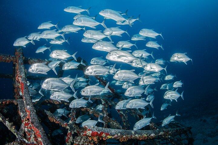 Oahu : Atlantis U-Boot Abenteuer in Waikiki