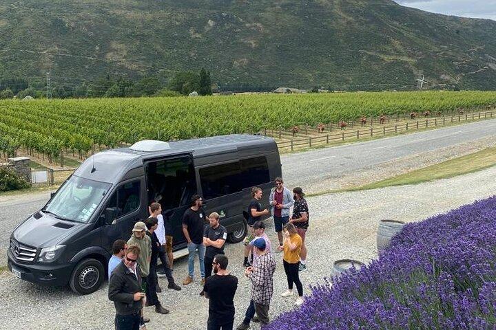 Queenstown VIP Wine Drop e Hop Tour