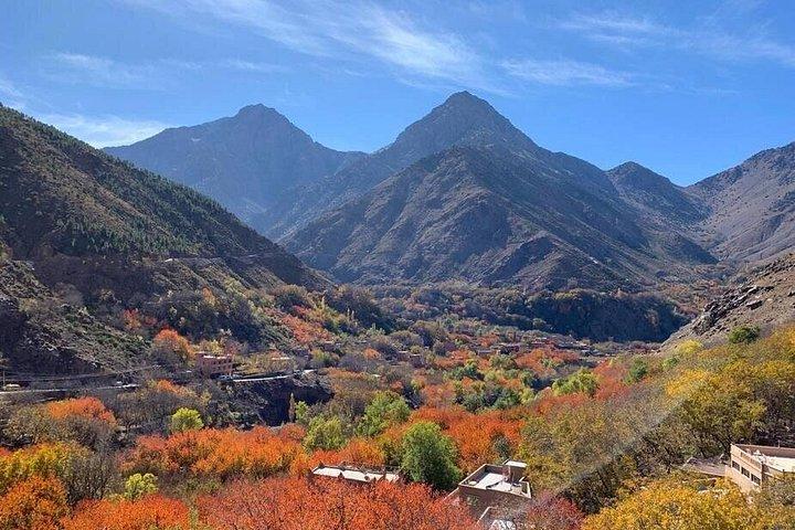 ラクダに乗ってアトラス山脈を巡る 1 日ツアー