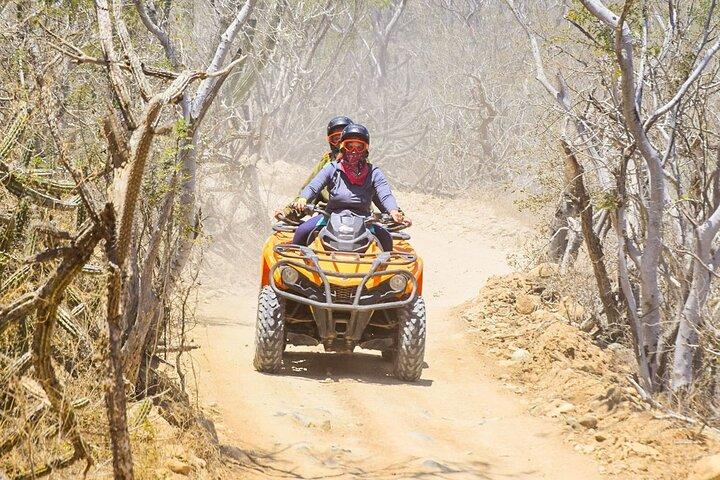 ATV/UTV砂漠ツアーでロスカボスのマルガリータスビーチを冒険