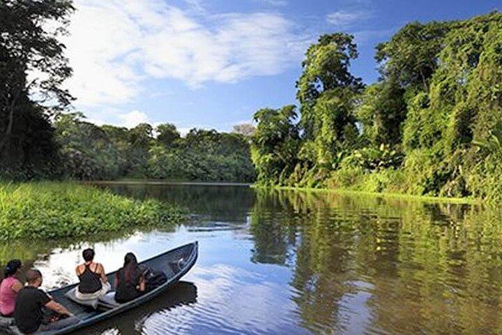 3-tägige Tour im Tortuguero National Park mit Abholung