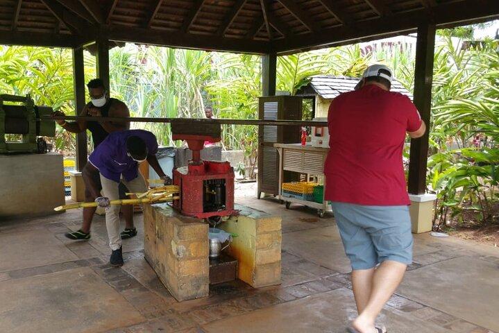 Appleton Estate Rum Tour e Pelican Bar Customize Tour