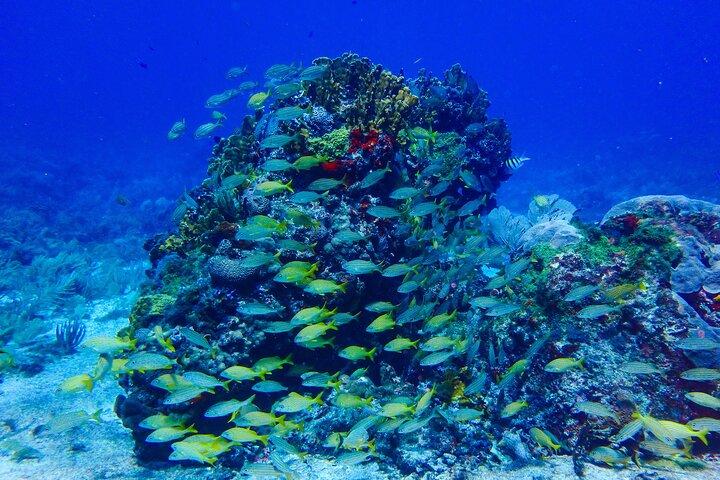 Snorkel à El Farito - La réservation du phare