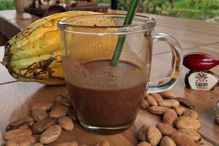 Guayaquil City Tour & Chocolate Farm met typische lunch PRIVÉ-dagtrip