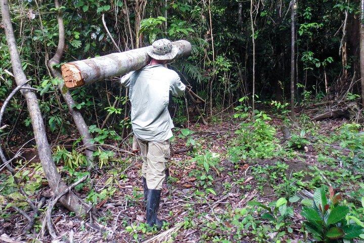 7-tägiges Dschungel-Überlebenstraining in Iquitos