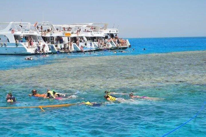 Excursão White Island e Ras Mohammed National Park com equipamento de mergulho