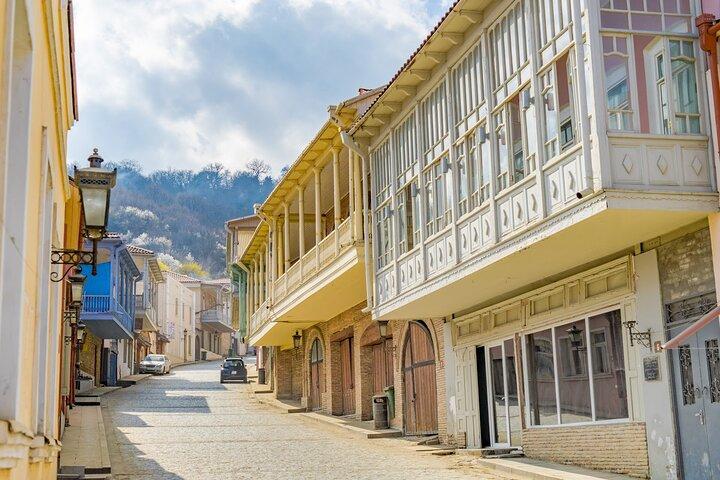 Heldags privat vinsmagningstur i Kakheti-regionen