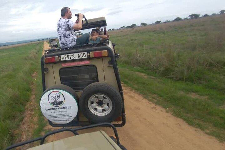 Excursion privée d'une journée au parc national de Mikumi au départ de Dar es Salaam