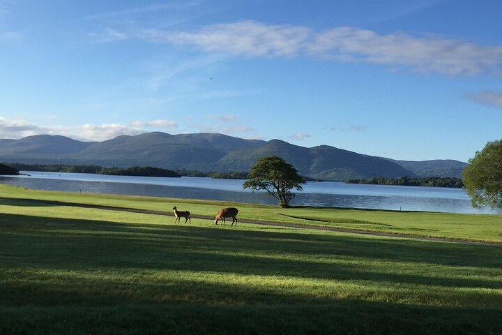Dublin Lufthavn Privat Transfer: Killarney til Dublin Lufthavn