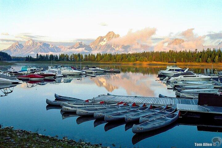 Yellowstone & Grand Teton Nationalparker: Lille gruppe 6-dages tur
