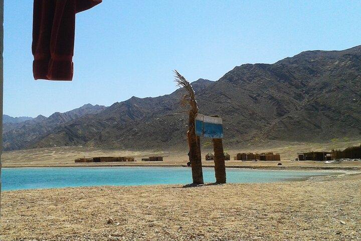 Tour di snorkeling di Ras Abu Galum e Blue Hole da Taba