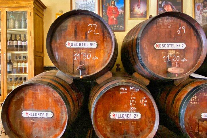 Excursão Noturna Tapas em Málaga