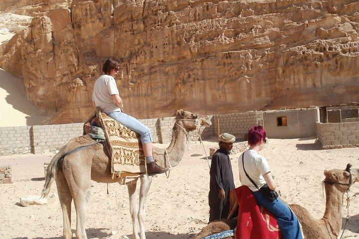 Safari à dos de chameau au départ de Dahab 3 jours 2 nuits