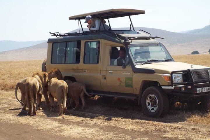 4 dagar Tanzania Camping Safari