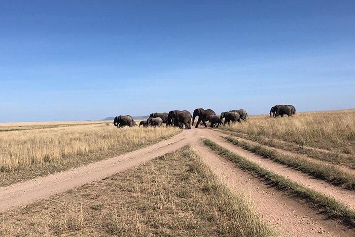 4 dagar Tanzania Camping Safari