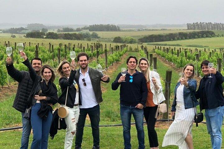 Temecula: Wine Country Trail e Tour Privado da Cidade Velha.