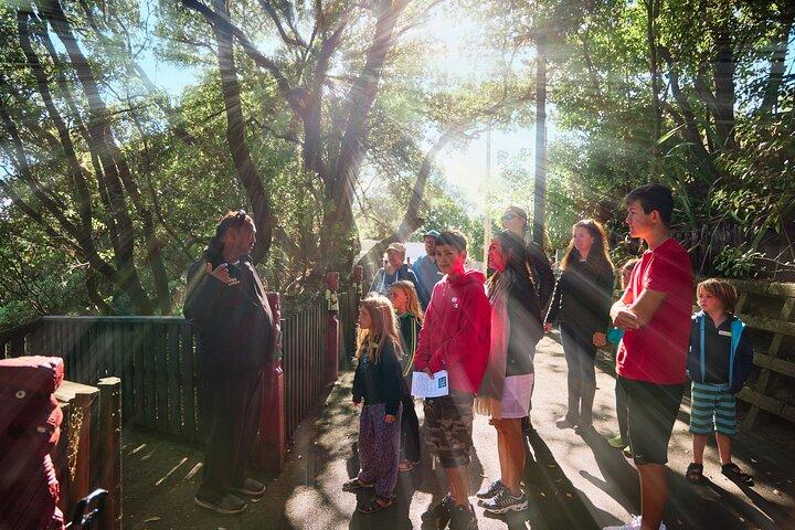 Excursão combinada de trilhas de Whaka e vila maori