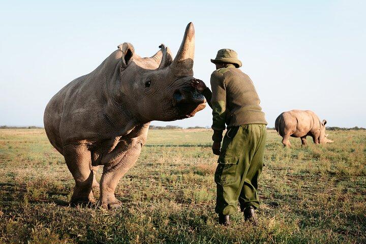 6-tägige private Nashorn-Schutzsafari in Kenia