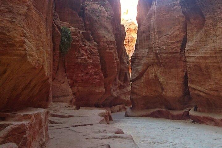 Petra Sightseeing Tour de 1 día desde Sharm El Sheikh