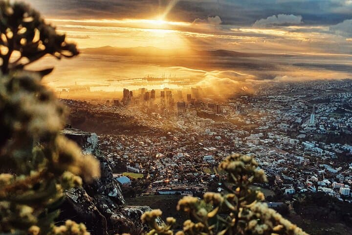 Cape Town: Lion's Head Sunrise/Sunset Hike