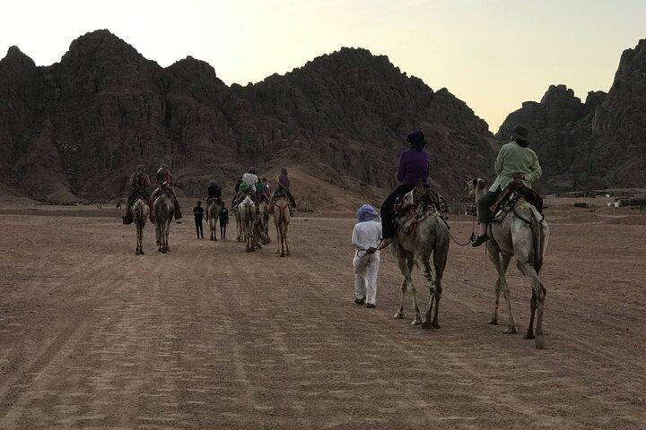 Sharm Bedouin Dinner,Camel ride & star Gazing