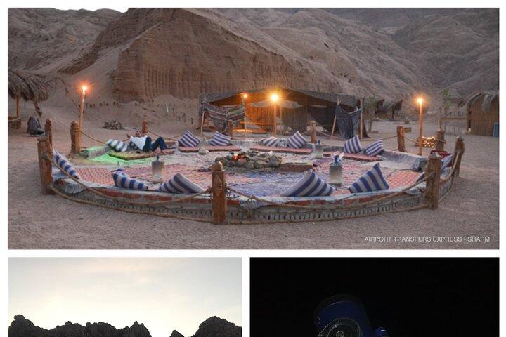 Sharm Bedouin Dinner,Camel ride & star Gazing