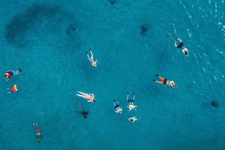 Turtle Snorkel, Honolulu