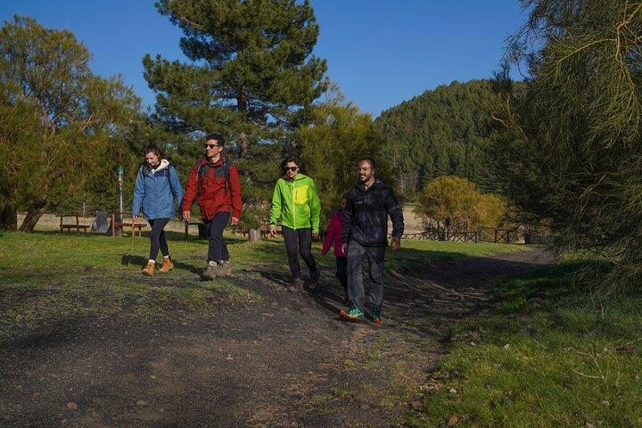 Van Catania: privé mt. Etna trekking en picknick