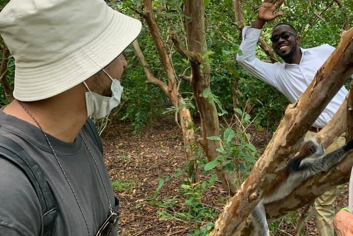 Jozani Forest