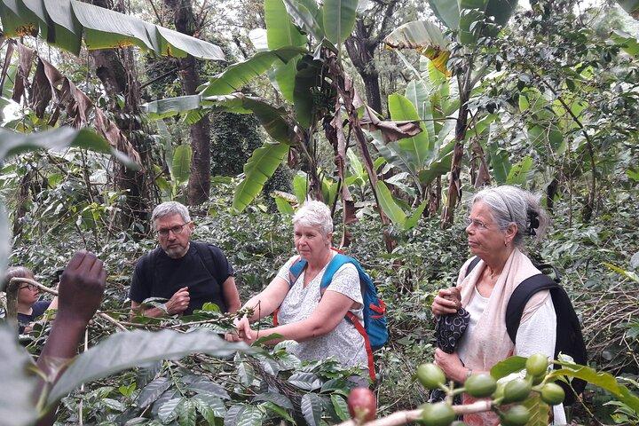 Marangu Waterfalls and Chagga Cultural Tour