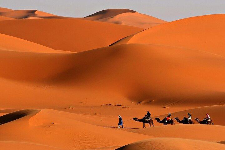 Desert Safari Dubai BBQ-diner en liveshows