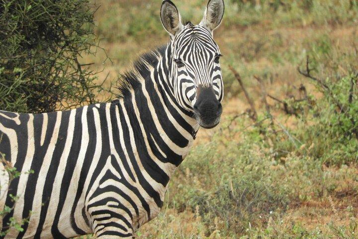 Nairobi National Park Morning Game Drive
