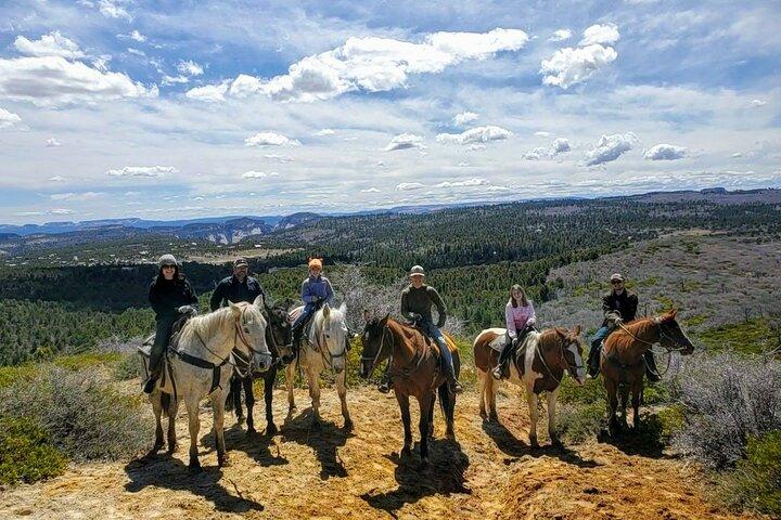 East Zion Pine Knoll ridetur