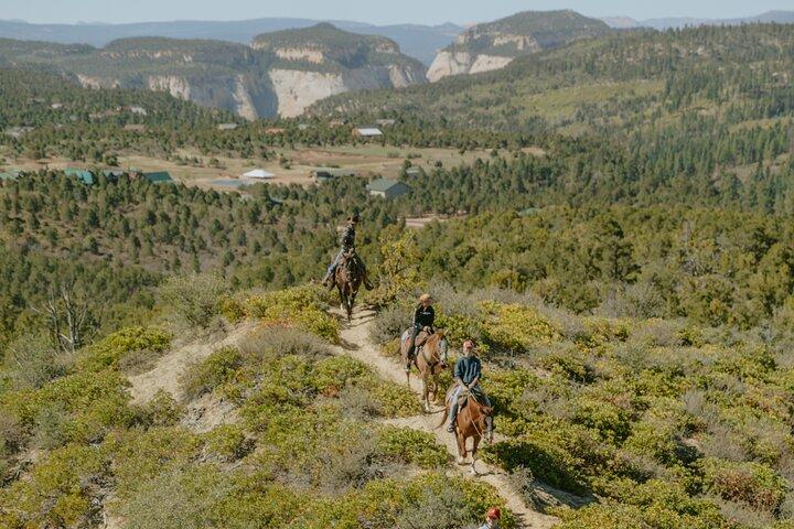 East Zion Pine Knoll ridetur