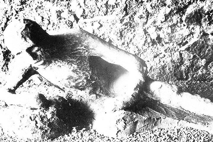 Dagtrip naar Pompeii en de kust van Amalfi