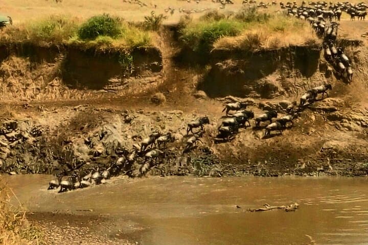 3Days/2Nights Masai Mara Safari on Midrange camp with Landcruiser