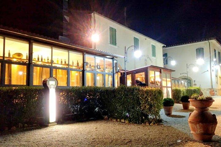 Wine Experience in vigneto aziendale & cantina da Montecatini