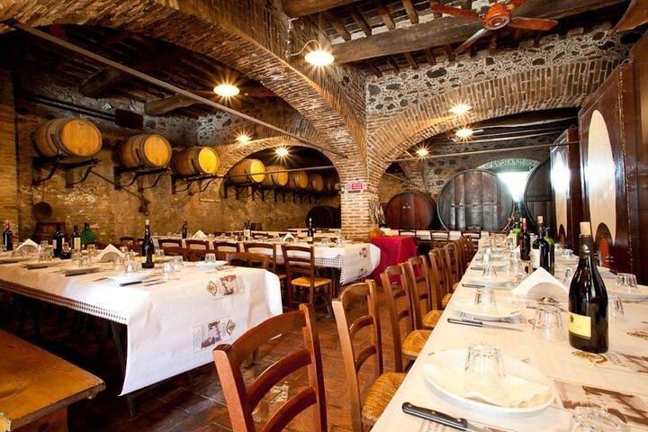 Wine Experience in vigneto aziendale & cantina da Montecatini