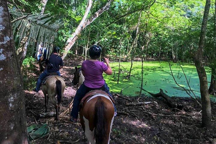 Balade à cheval aventure au coucher du soleil