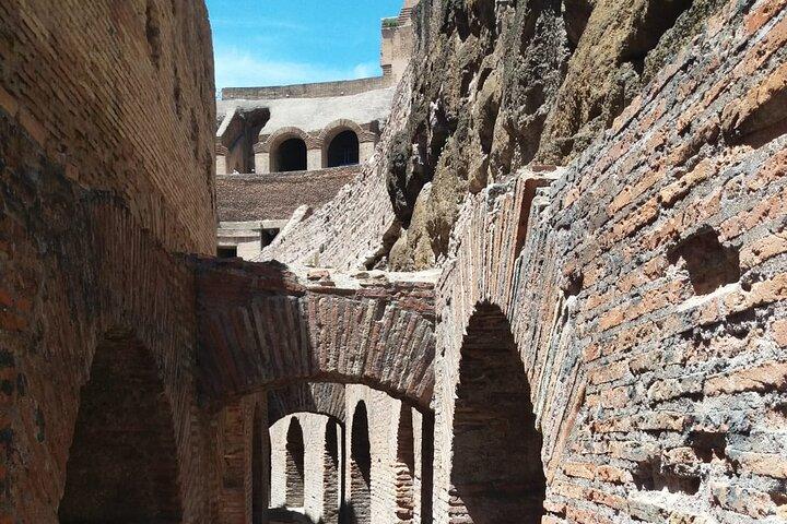 Colosseum Underground Tour With Arena Floor: Vip Experience