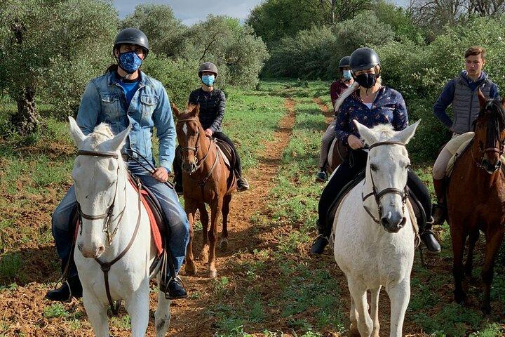 Visite à cheval de Grenade et de la Sierra Nevada