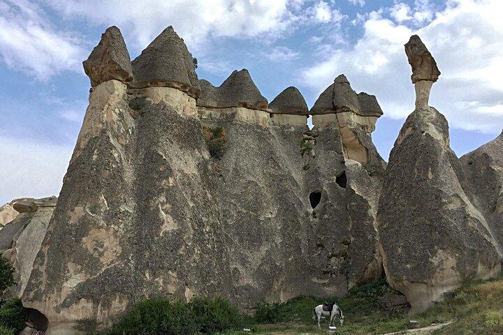 Transfert privé : de la région de la Cappadoce à l'aéroport de Nevsehir NAV en van de luxe
