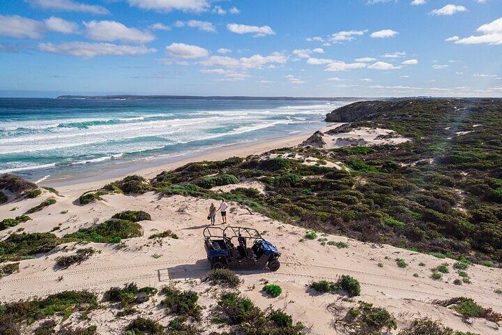 Excursão de buggy para grupos pequenos no Little Sahara com guia