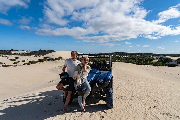 Excursão de buggy para grupos pequenos no Little Sahara com guia