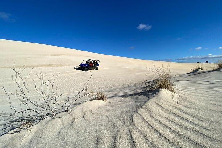 Excursão de buggy para grupos pequenos no Little Sahara com guia
