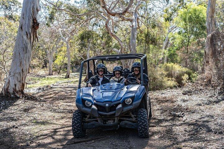 Excursão de buggy para grupos pequenos no Little Sahara com guia