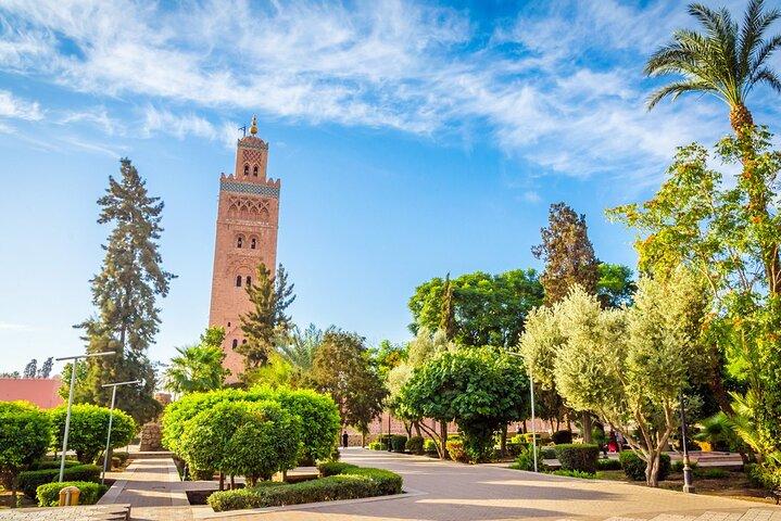 Ouzoud Waterfalls Full-Day Tour from Marrakech