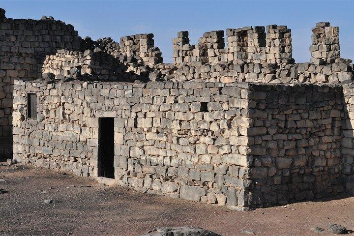 Tour della città di Amman e visita dei castelli del deserto