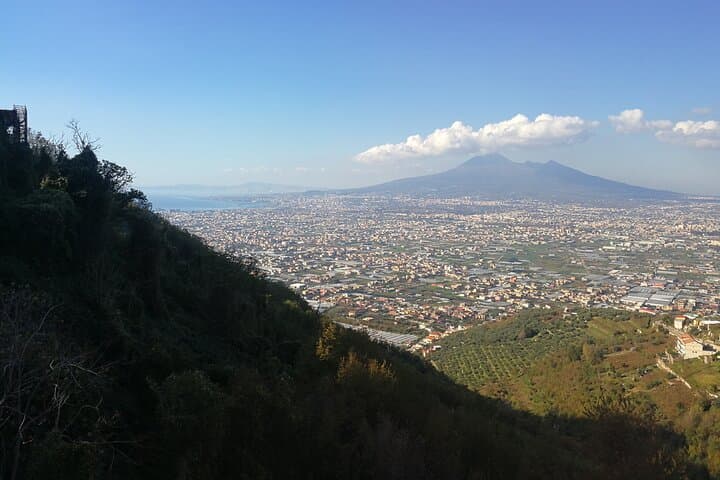 Escursione a terra Vesuvio e sito di Ercolano (6 ore)