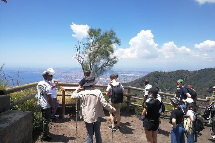 Escursione a terra Vesuvio e sito di Ercolano (6 ore)